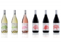 Italian Wine Journey